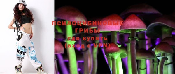 дурь Заволжск